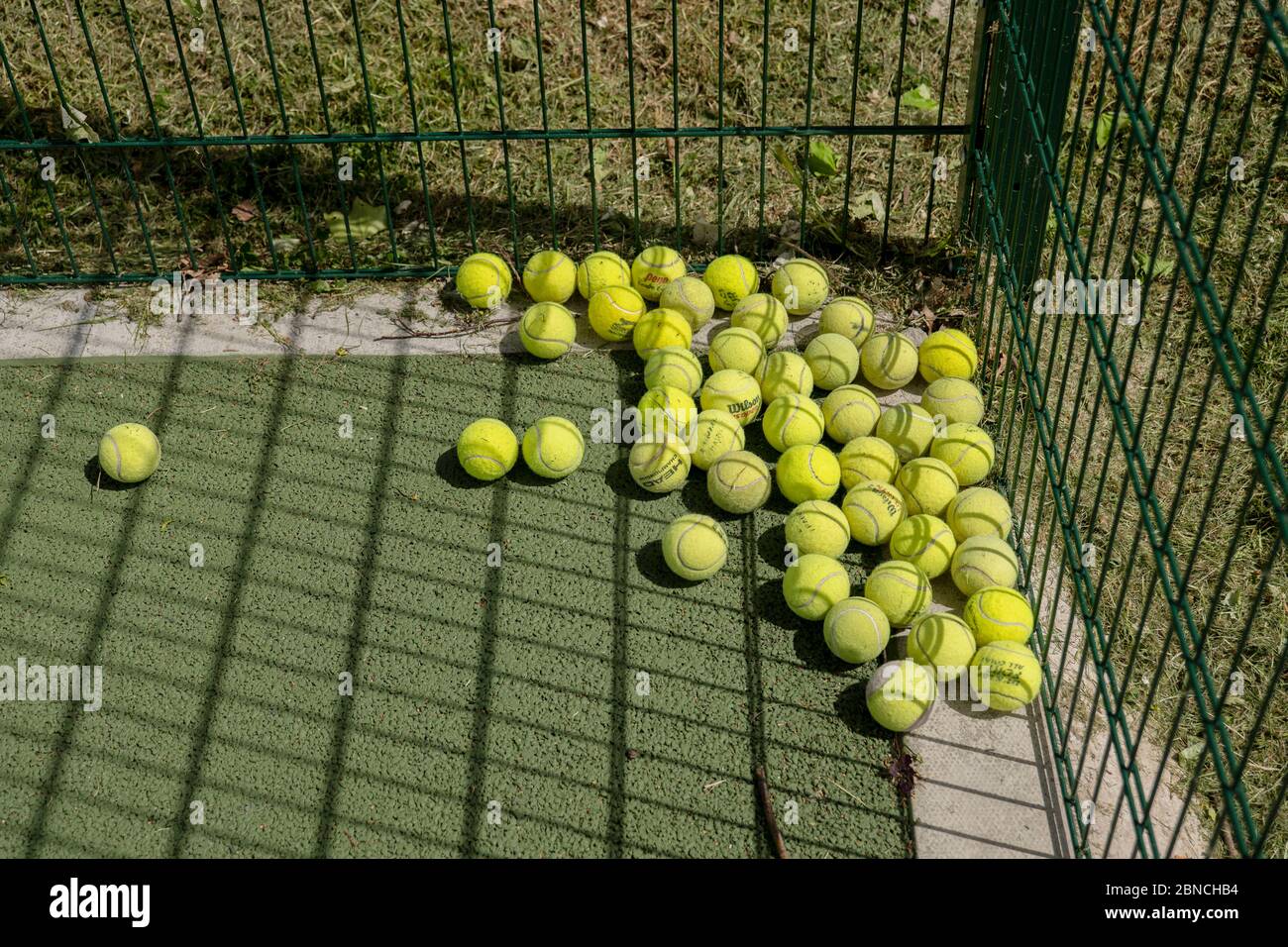 Post Image
