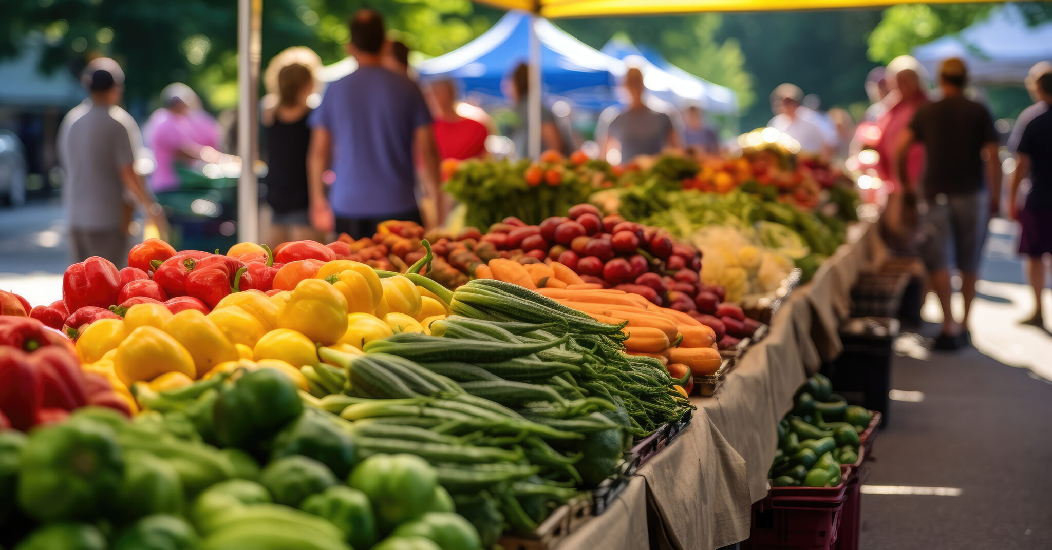 2024 Financial Report: PCC Community Markets' Profit Outperforms Forecasts 2024 Financial Report: PCC Community Markets' Profit Outperforms Forecasts