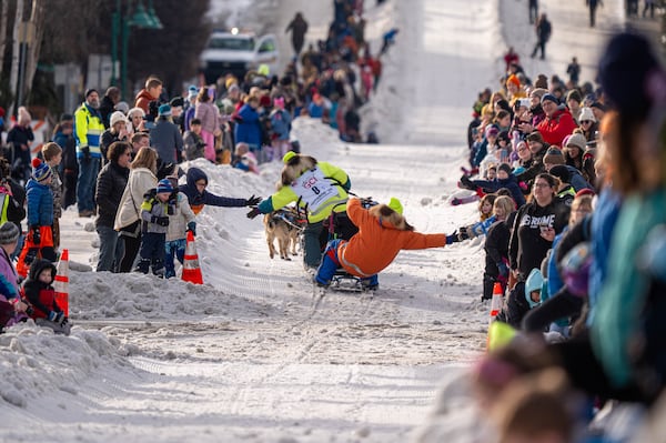 2025 Iditarod Ceremonial Start: A Record Number Of Spectators In Downtown Anchorage 2025 Iditarod Ceremonial Start: A Record Number Of Spectators In Downtown Anchorage