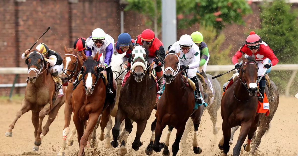 2025 Kentucky Derby Horse Profile: Evaluating Chunk Of Gold 2025 Kentucky Derby Horse Profile: Evaluating Chunk Of Gold