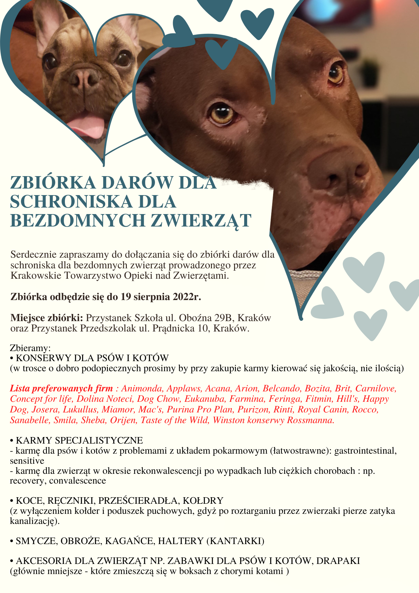 4 Kwietnia:  Wspierajmy Schroniska Dla Zwierząt Bezdomnych