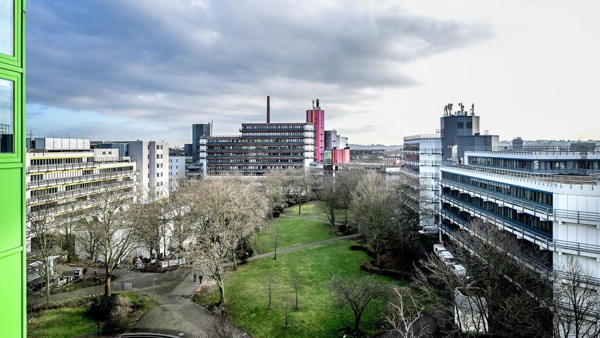 900 Euro Für Bessere Noten? Skandal An Der Universität Duisburg-Essen 900 Euro Für Bessere Noten? Skandal An Der Universität Duisburg-Essen