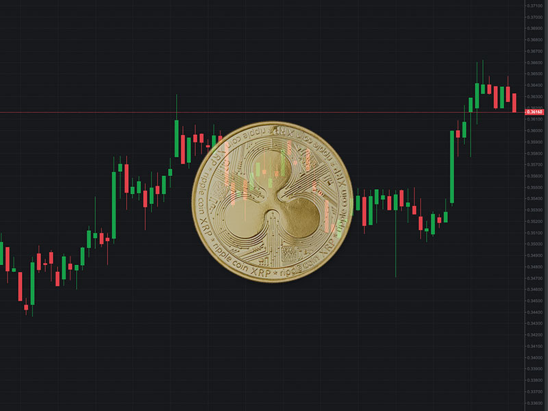 A Beginner's Guide To XRP (Ripple) Investment: Risks And Opportunities A Beginner's Guide To XRP (Ripple) Investment: Risks And Opportunities
