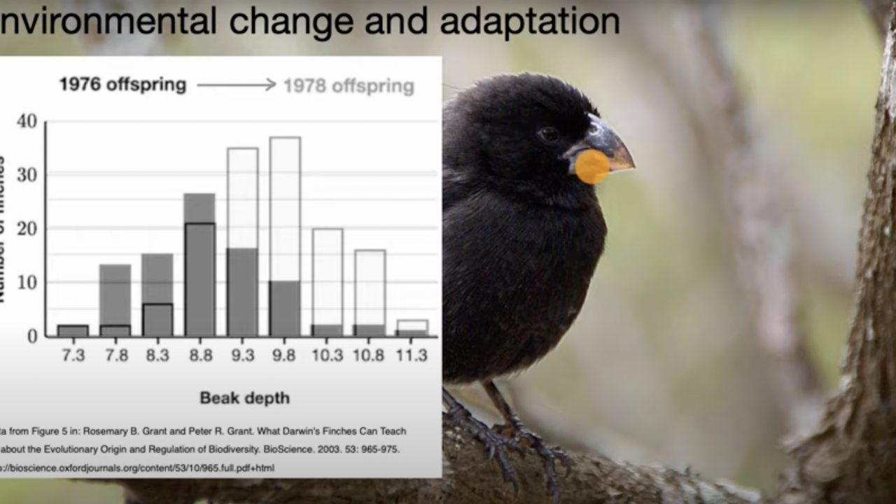 A Potentially Poor Monkey Adaptation Won't Diminish A Strong 2025 For Stephen King A Potentially Poor Monkey Adaptation Won't Diminish A Strong 2025 For Stephen King