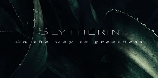 A Slytherin's Return? Harry Potter Star Weighs In On HBO Series A Slytherin's Return? Harry Potter Star Weighs In On HBO Series