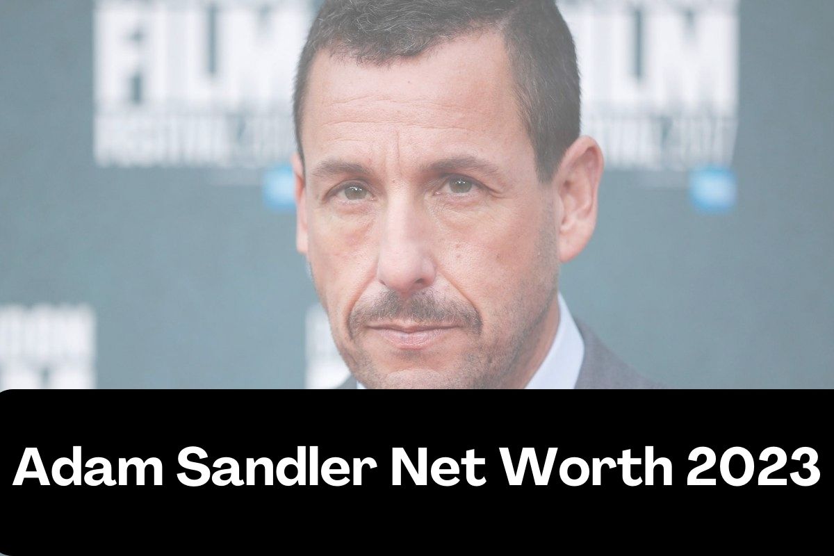 Adam Sandler's Massive Net Worth: Proof Comedy Is A Lucrative Career Adam Sandler's Massive Net Worth: Proof Comedy Is A Lucrative Career