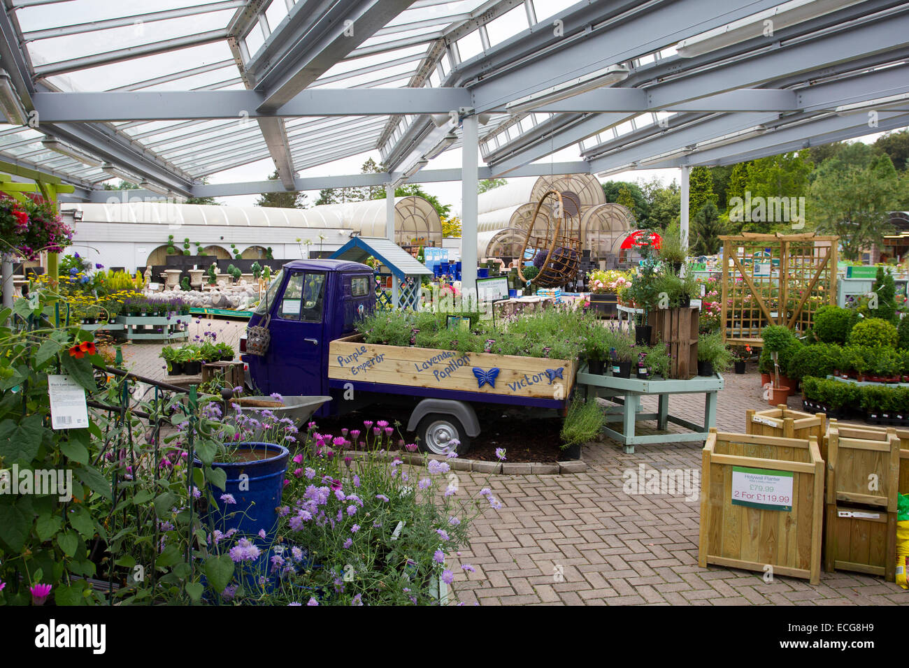 Ambleside Couple Arrested: £300 Theft From Hayes Garden World Ambleside Couple Arrested: £300 Theft From Hayes Garden World