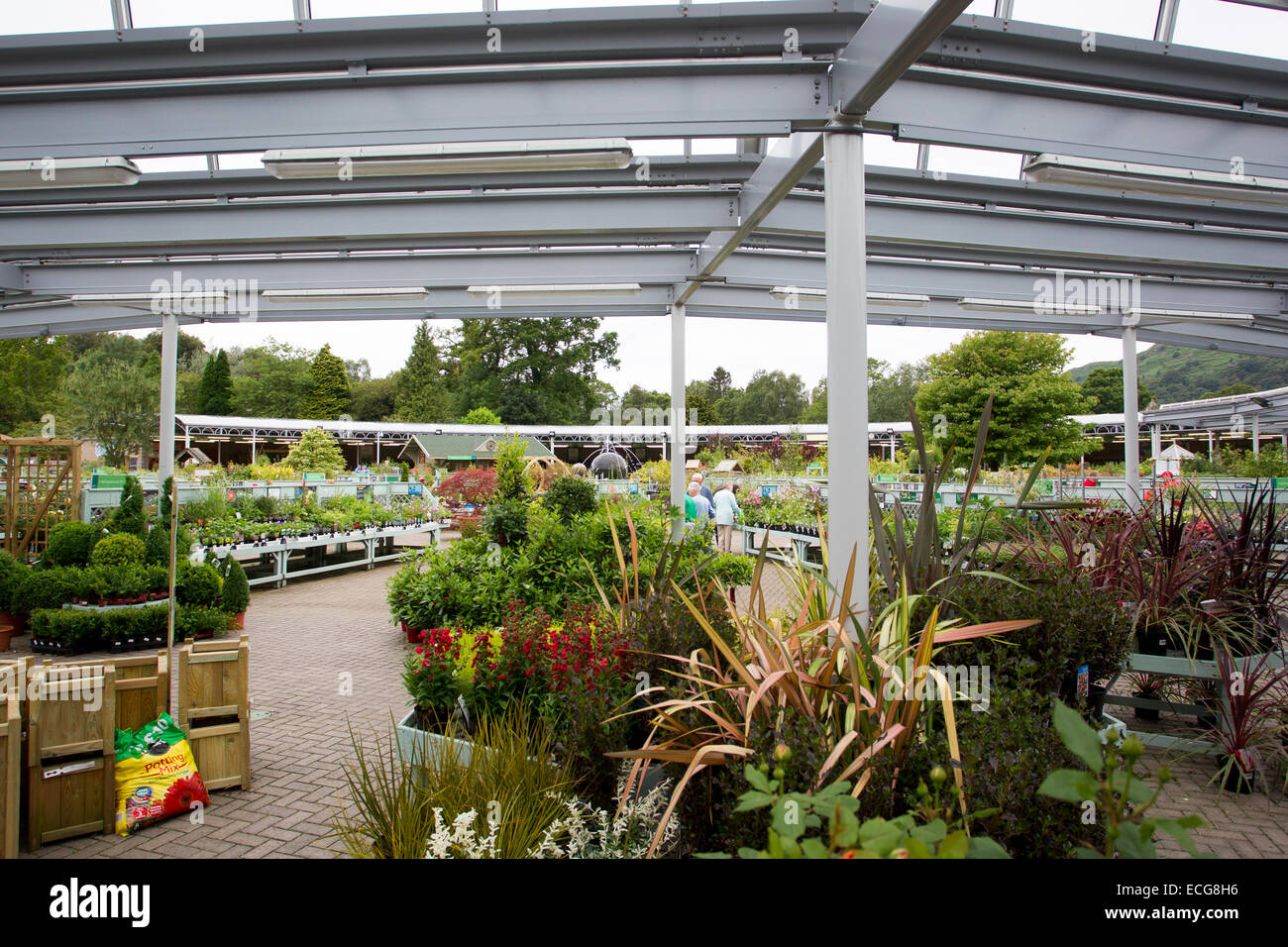 Ambleside Couple's Garden Centre Theft: £300 Worth Of Goods Stolen Ambleside Couple's Garden Centre Theft: £300 Worth Of Goods Stolen