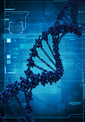 Analysis Of US Government Grants For Transgender Animal Research Analysis Of US Government Grants For Transgender Animal Research