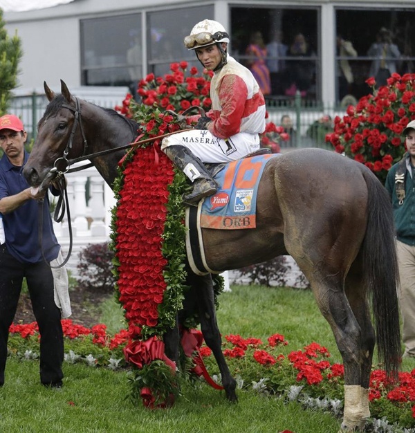 Analyzing Chunk Of Gold's Chances In The 2025 Kentucky Derby Analyzing Chunk Of Gold's Chances In The 2025 Kentucky Derby