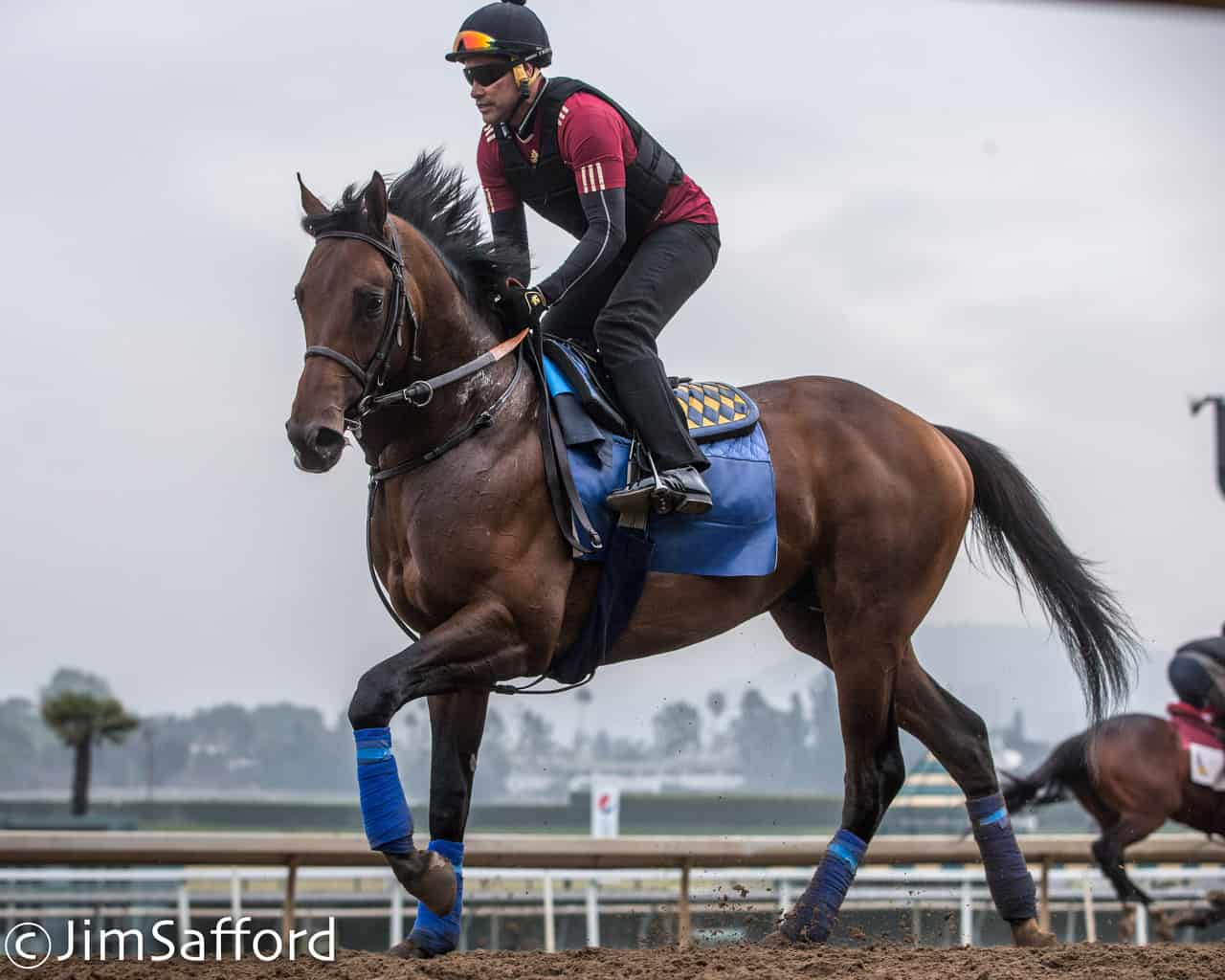 Analyzing The 2025 Kentucky Derby: A Pace Projection For The Run For The Roses Analyzing The 2025 Kentucky Derby: A Pace Projection For The Run For The Roses