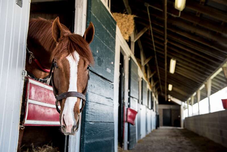 Analyzing The 2025 Louisiana Derby: Odds, Field, And Kentucky Derby Predictions Analyzing The 2025 Louisiana Derby: Odds, Field, And Kentucky Derby Predictions