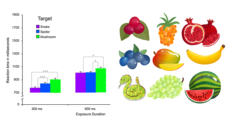 Analyzing The Media's Coverage Of Jessica Simpson's Snake Sperm Remarks Analyzing The Media's Coverage Of Jessica Simpson's Snake Sperm Remarks