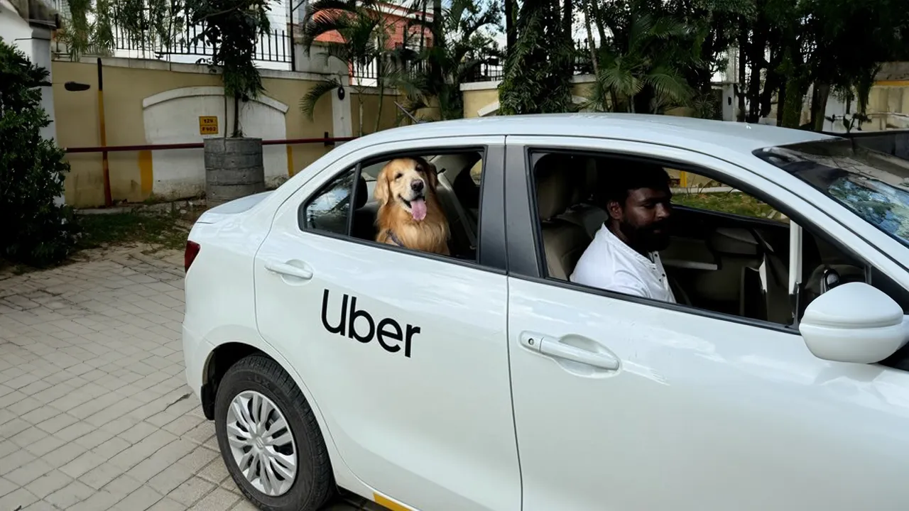 Announcing Uber Pet Service In Delhi And Mumbai Announcing Uber Pet Service In Delhi And Mumbai