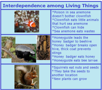 Apple's Ecosystem And Google's: A Look At Interdependence Apple's Ecosystem And Google's: A Look At Interdependence