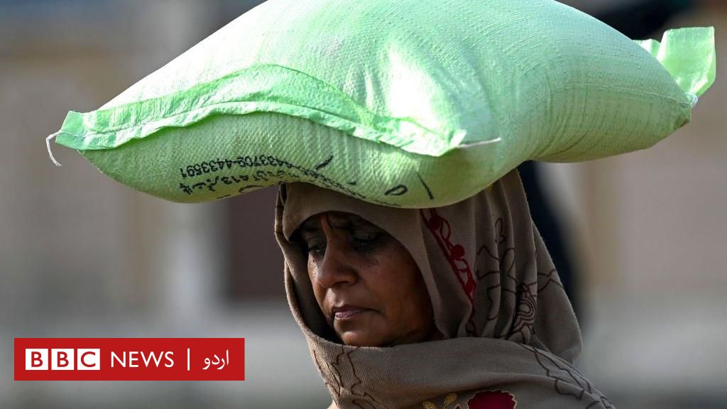 آرمی چیف کا کشمیر پر حتمی بیان: جنگ جاری رہے گی آرمی چیف کا کشمیر پر حتمی بیان: جنگ جاری رہے گی