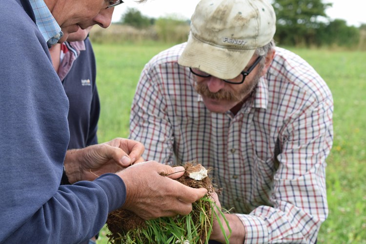 Assessing Reform UK's Commitment To The Farming Sector Assessing Reform UK's Commitment To The Farming Sector