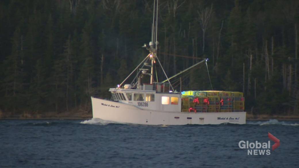 Atlantic Canada's Lobster Fishermen Struggle Amidst Falling Prices And Global Uncertainty Atlantic Canada's Lobster Fishermen Struggle Amidst Falling Prices And Global Uncertainty