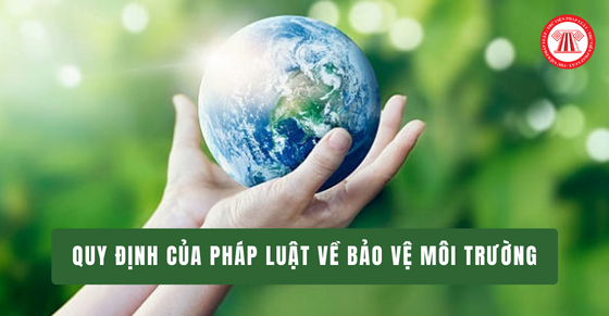 Bảo Vệ Trẻ Em: Rà Soát Và Xử Lý Nghiêm Vi Phạm Tại Cơ Sở Giữ Trẻ Tư Nhân Bảo Vệ Trẻ Em: Rà Soát Và Xử Lý Nghiêm Vi Phạm Tại Cơ Sở Giữ Trẻ Tư Nhân