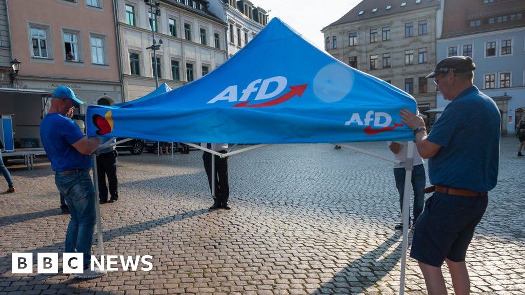 Bayern President Rejects Far-Right AfD Member Joining Club Board