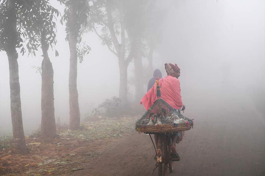 Bengal Weather Update: Sharp Temperature Drop Bengal Weather Update: Sharp Temperature Drop