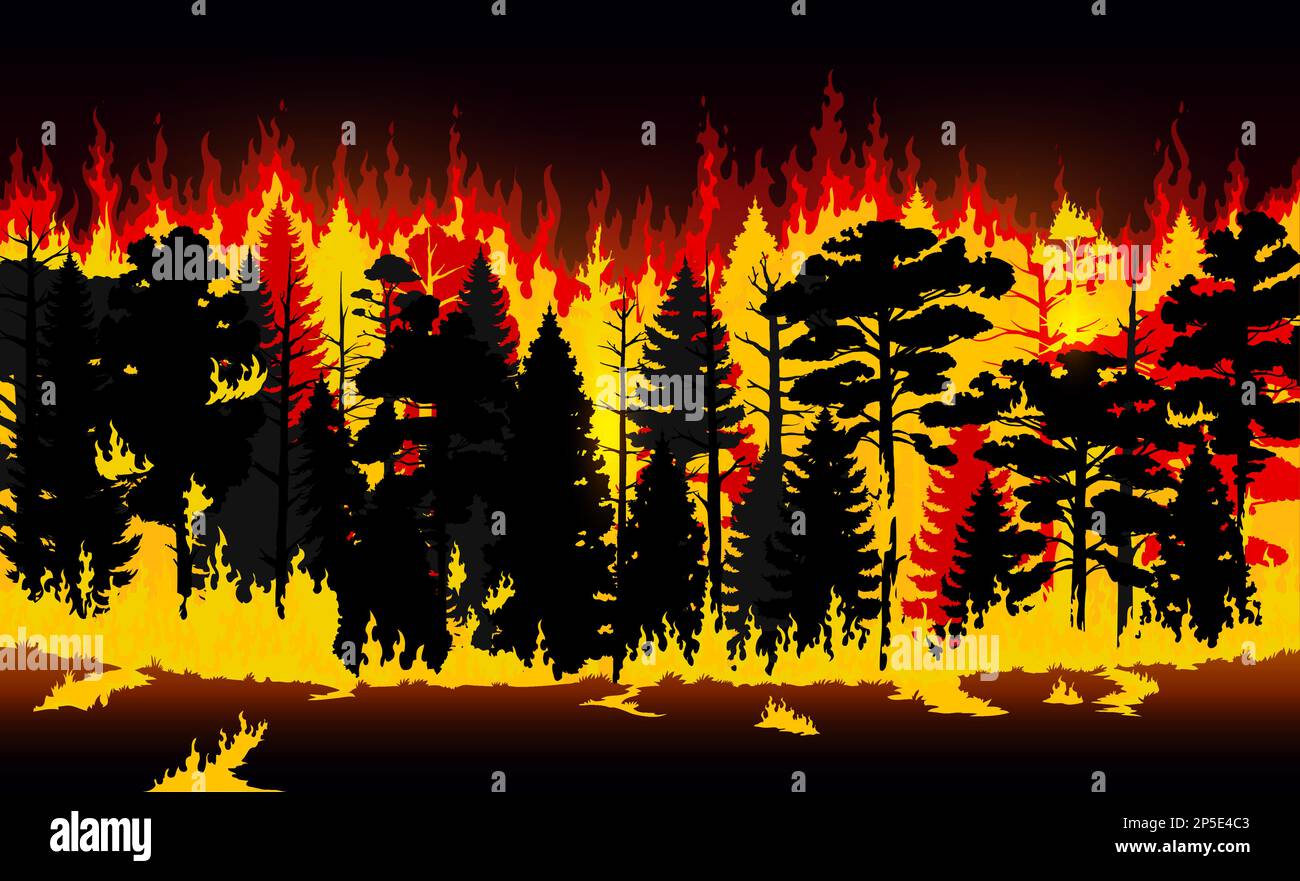 Betting On Natural Disasters: The Troubling Trend Of Wildfire Wagers Betting On Natural Disasters: The Troubling Trend Of Wildfire Wagers