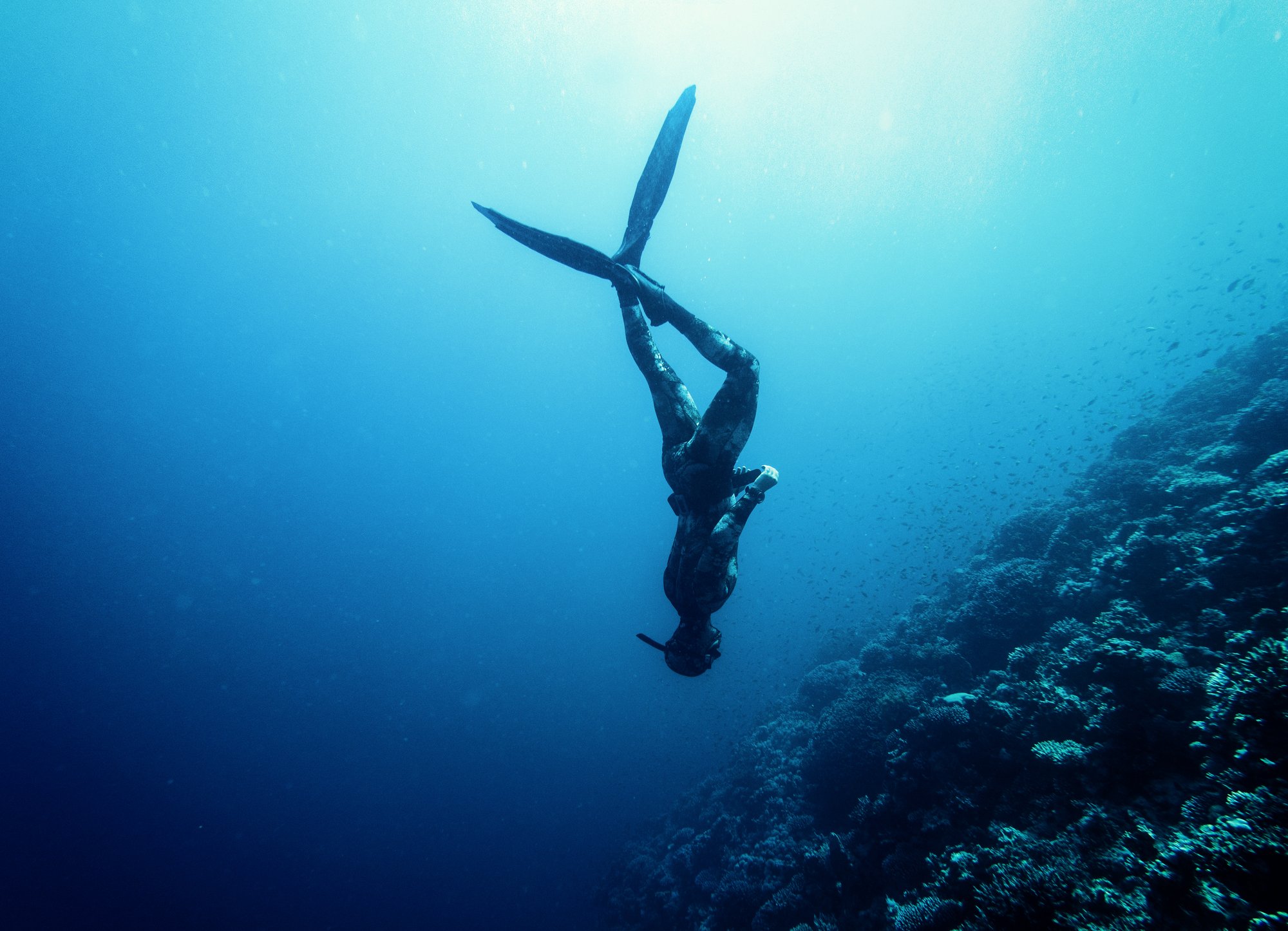 BigBear.ai's Q1 Report: A Deeper Dive Into The Stock Drop BigBear.ai's Q1 Report: A Deeper Dive Into The Stock Drop