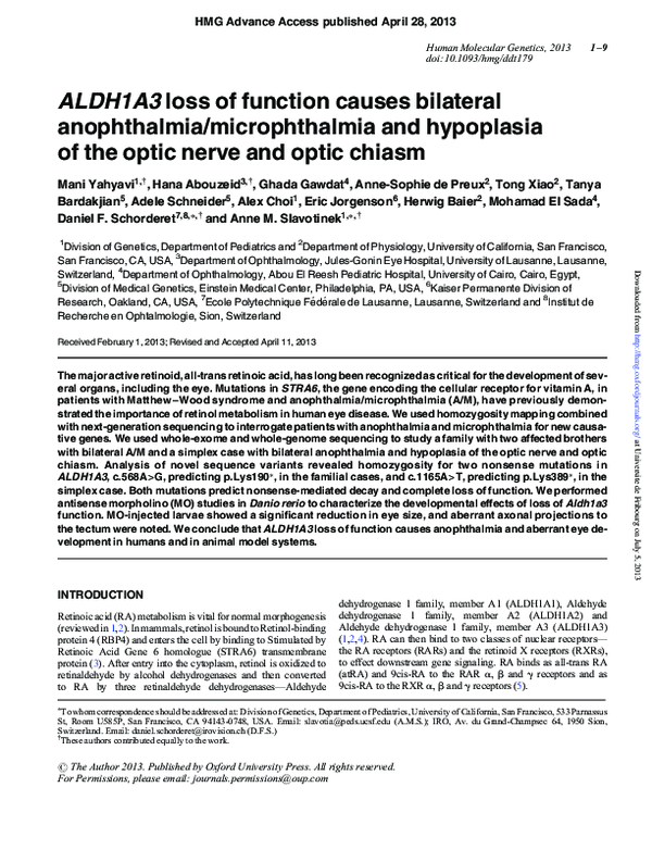 Bilateral Anophthalmia: Causes, Diagnosis, And Support For Affected Families Bilateral Anophthalmia: Causes, Diagnosis, And Support For Affected Families