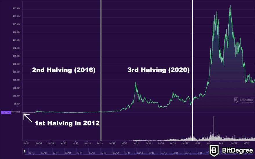 Bitcoin Price Prediction 2024: Impact Of Trump's Economic Policies Bitcoin Price Prediction 2024: Impact Of Trump's Economic Policies
