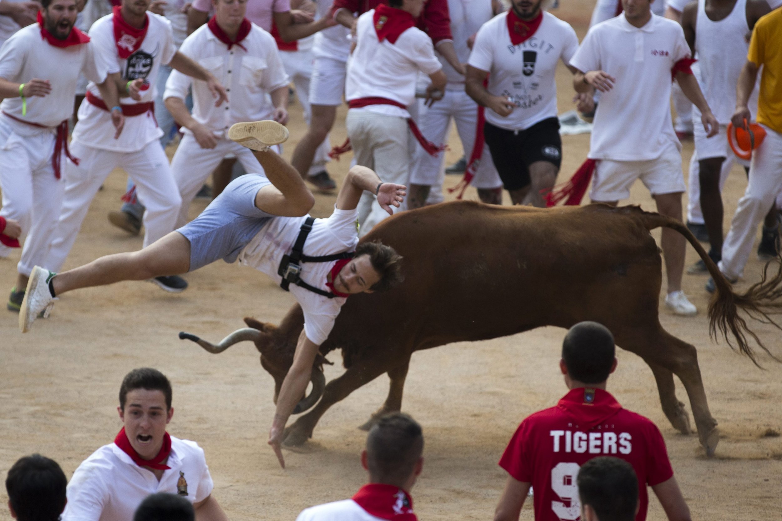 Bitcoin Rebound: Is This The Start Of A New Bull Run? Bitcoin Rebound: Is This The Start Of A New Bull Run?