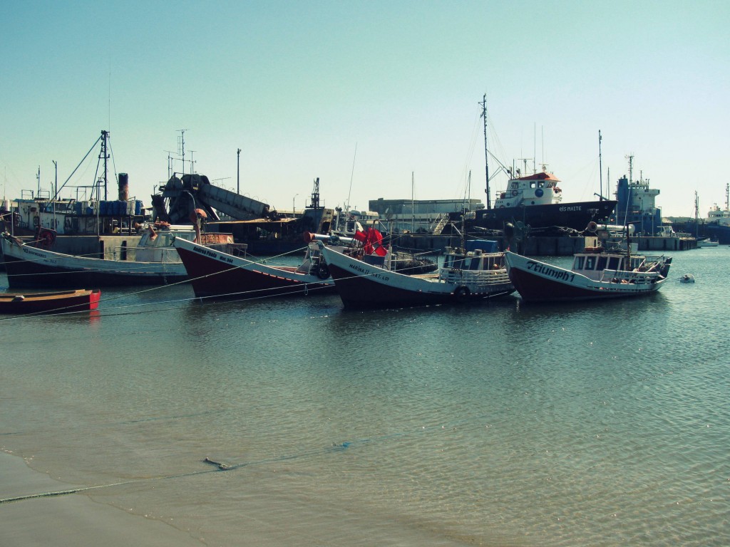 Black Gold In Uruguay? Examining The Viability Of Offshore Drilling Black Gold In Uruguay? Examining The Viability Of Offshore Drilling