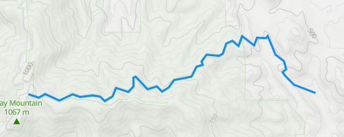 Border Patrol's Otay Mountain Rescue Operation: Two Women Saved Border Patrol's Otay Mountain Rescue Operation: Two Women Saved