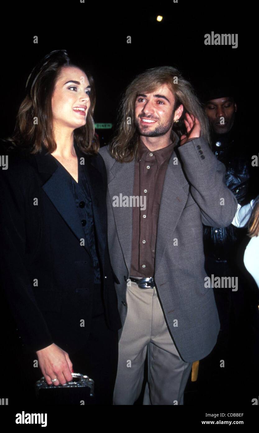 Brooke Shields' Book: No Kids With Andre Agassi, A Good Thing?