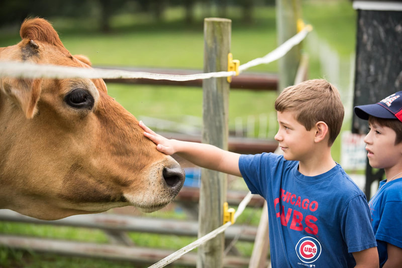 Campus-Based Life Cycle Education Using Farm Animals Campus-Based Life Cycle Education Using Farm Animals