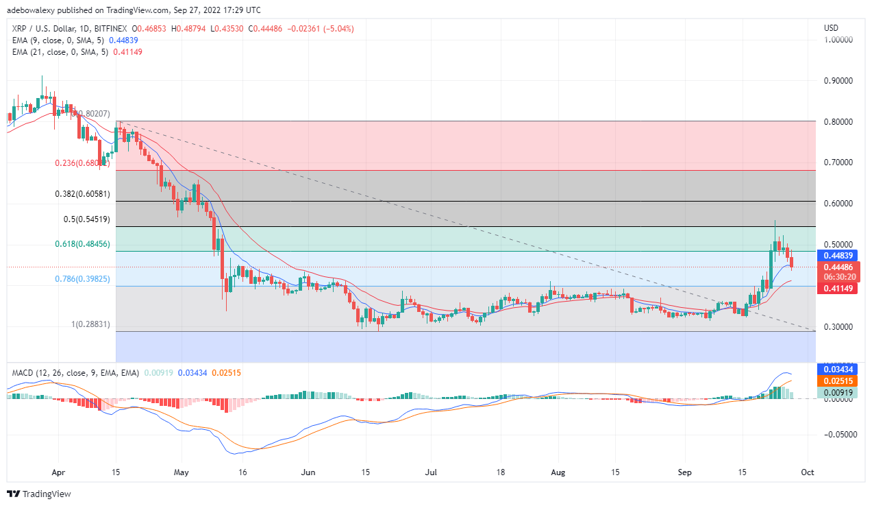 Can Ripple's Growth Continue? Analyzing XRP's Future Value. Can Ripple's Growth Continue? Analyzing XRP's Future Value.