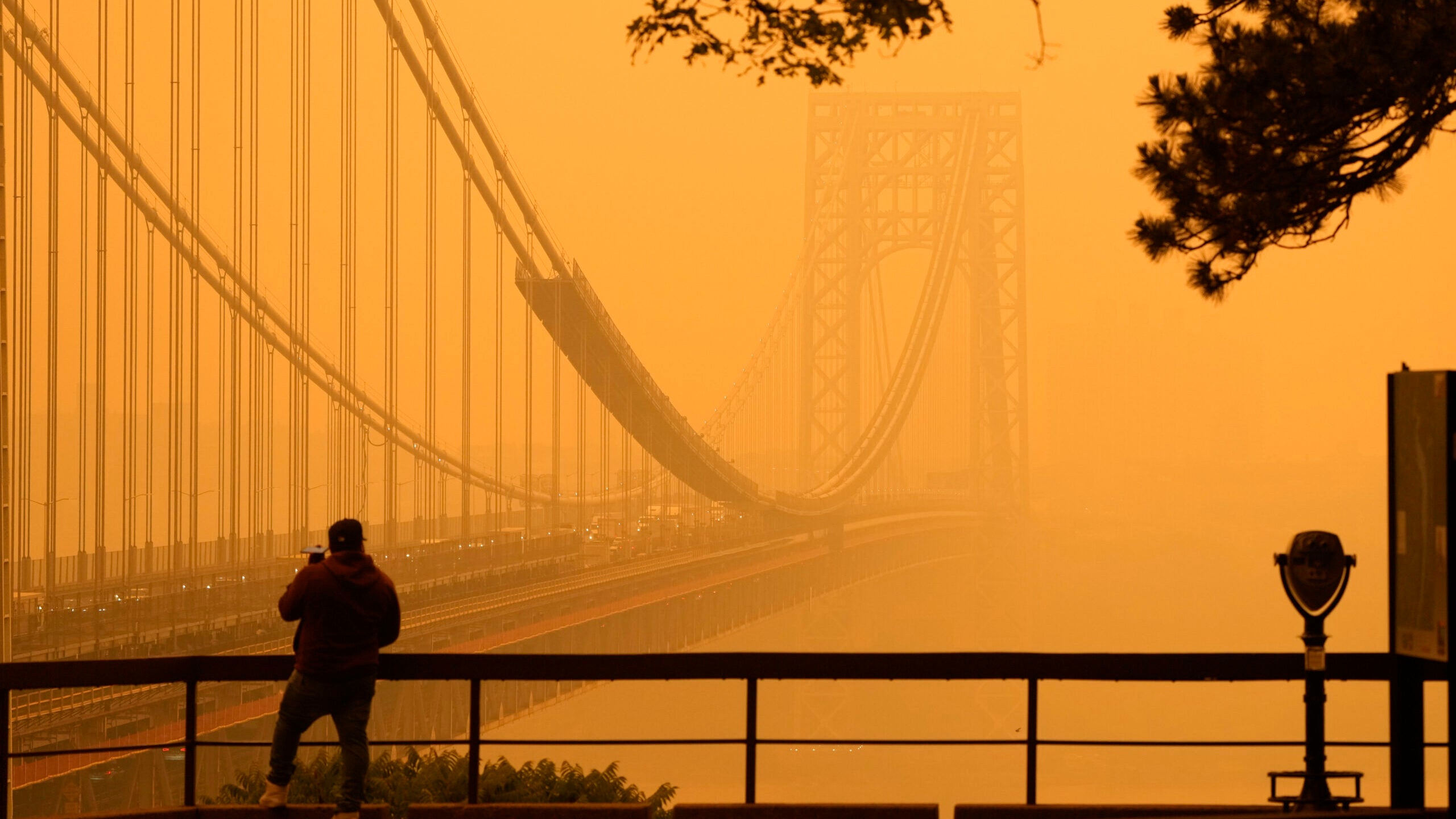 Canadian Wildfire Smoke: 3°C New York Cooling And Air Toxicant Trapping Canadian Wildfire Smoke: 3°C New York Cooling And Air Toxicant Trapping