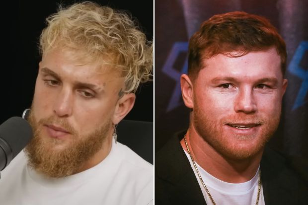 Canelo Alvarez Offers Concise Opinion On Jake Paul And Boxing Peers Canelo Alvarez Offers Concise Opinion On Jake Paul And Boxing Peers