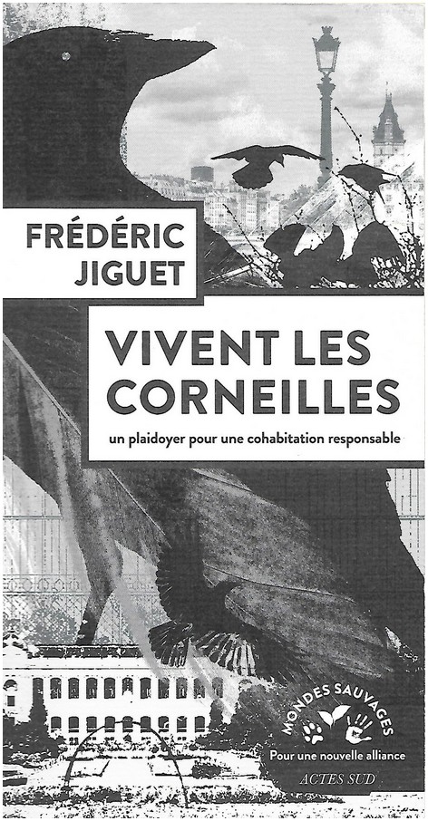 Capacités Cognitives Supérieures Des Corneilles : Une Étude De Cas En Géométrie Capacités Cognitives Supérieures Des Corneilles : Une Étude De Cas En Géométrie