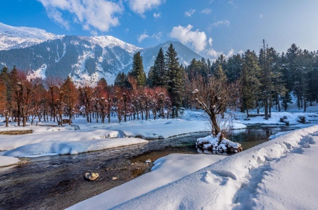 Cassis' Strong Response To Pahalgam Terror Attack: Switzerland's Official Statement Cassis' Strong Response To Pahalgam Terror Attack: Switzerland's Official Statement