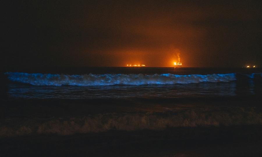 Catch Bioluminescent Waves: Spring And Fall In Southern California