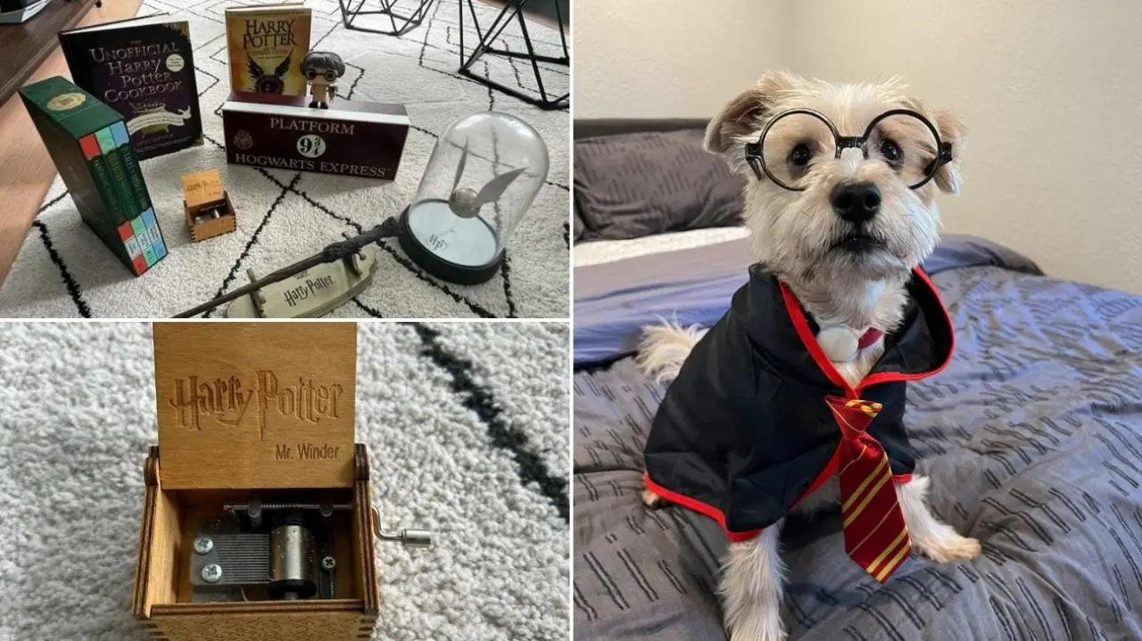 Celebrate International Harry Potter Day: A Guide To Online Shopping Celebrate International Harry Potter Day: A Guide To Online Shopping