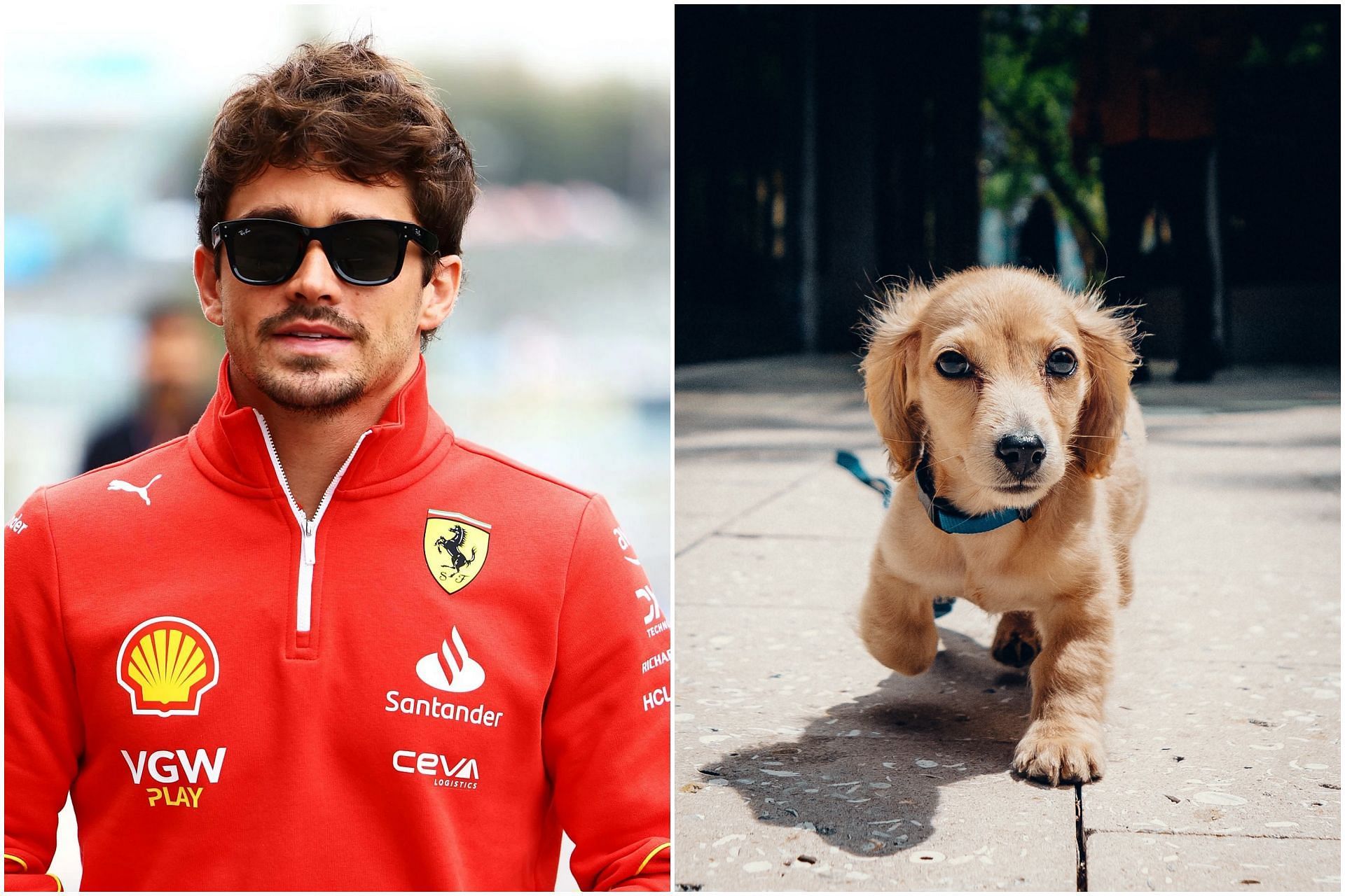 Charles Leclerc And Ferrari: Pre-Imola GP Update And Statement Charles Leclerc And Ferrari: Pre-Imola GP Update And Statement