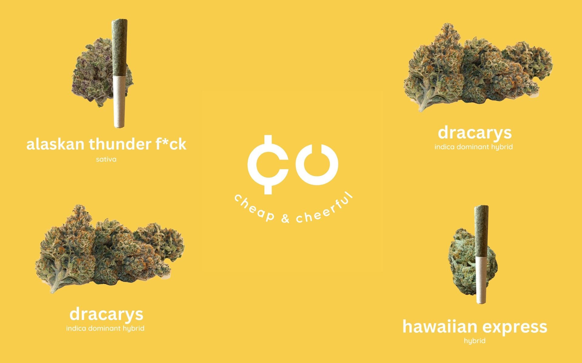 Cheap And Cheerful: Products That Deliver Cheap And Cheerful: Products That Deliver