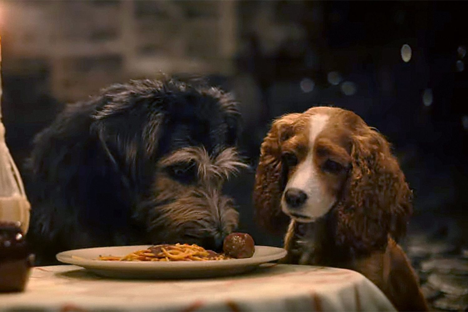 Chicago Cubs: Fans Recreate Lady And The Tramp Scene With Hot Dog Chicago Cubs: Fans Recreate Lady And The Tramp Scene With Hot Dog