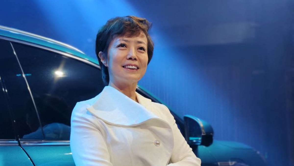China's BYD Challenges Ford's Legacy In Brazil's Emerging EV Market China's BYD Challenges Ford's Legacy In Brazil's Emerging EV Market