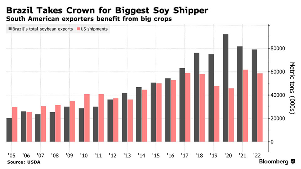 China's Soybean Shortage: Sinograin's Auction And Market Reaction China's Soybean Shortage: Sinograin's Auction And Market Reaction