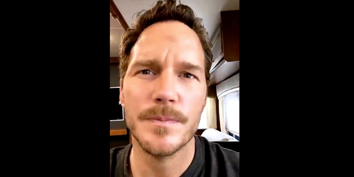 Chris Pratt Reacts To Patrick Schwarzenegger's White Lotus Role Chris Pratt Reacts To Patrick Schwarzenegger's White Lotus Role