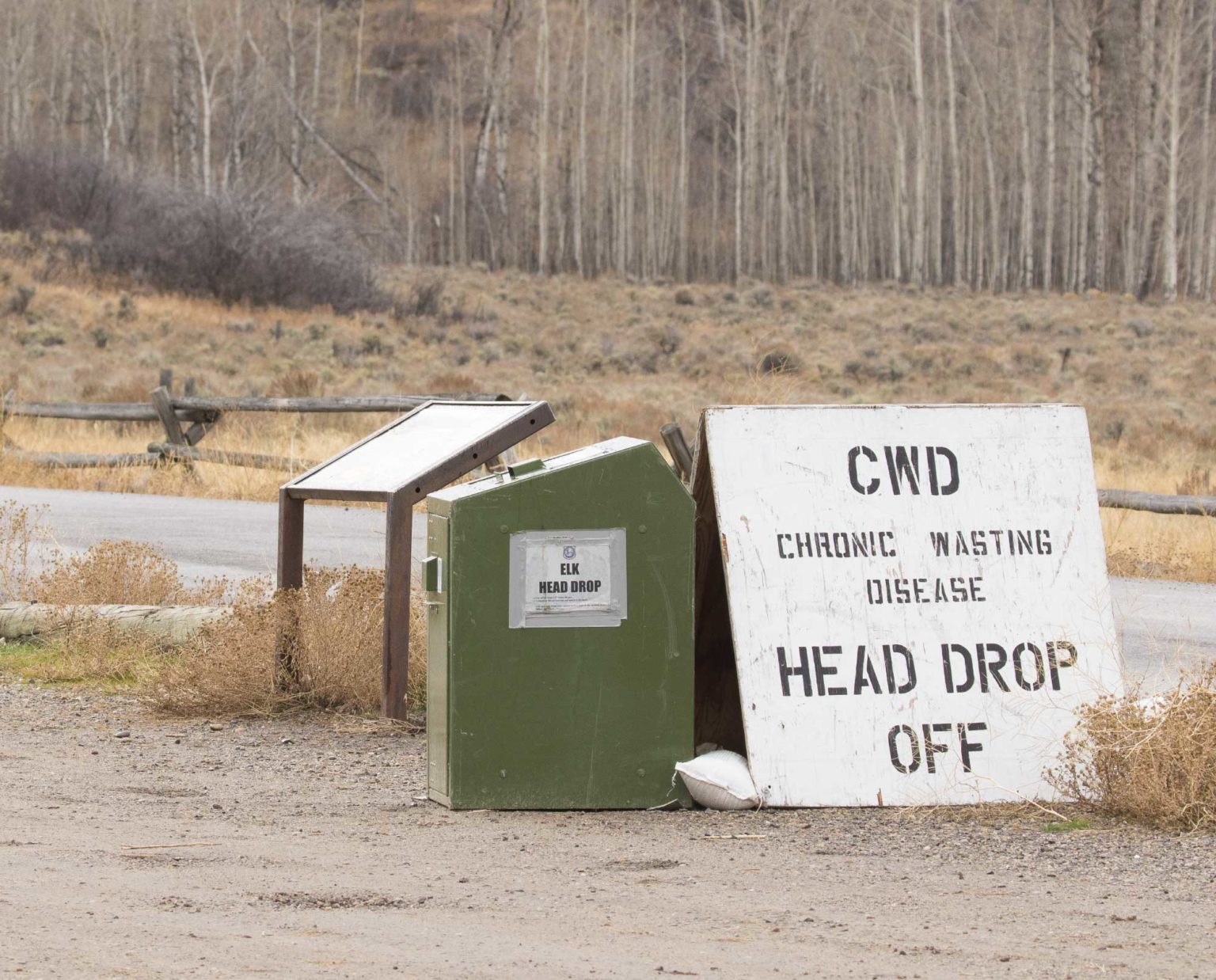 Chronic Wasting Disease (CWD) Detected In Jackson Hole Elk Feedground Chronic Wasting Disease (CWD) Detected In Jackson Hole Elk Feedground