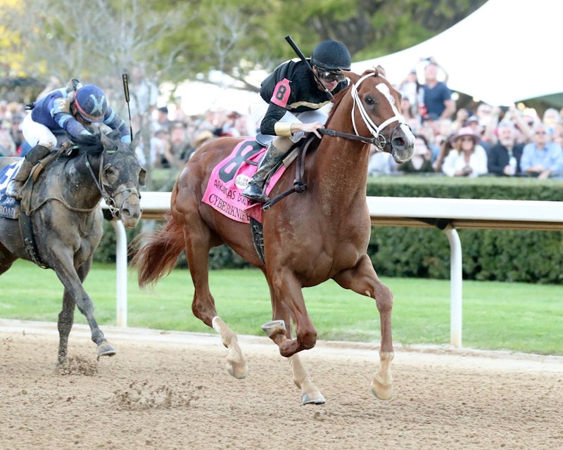 Chunk Of Gold: A 2025 Kentucky Derby Contender Profile Chunk Of Gold: A 2025 Kentucky Derby Contender Profile