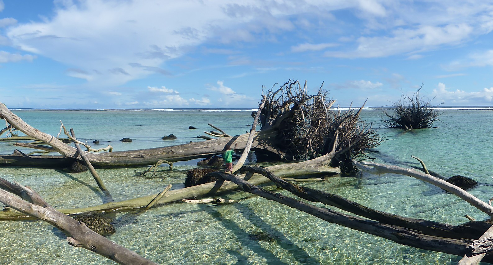 Coastal Erosion And Flooding: The Impact Of Rising Sea Levels Coastal Erosion And Flooding: The Impact Of Rising Sea Levels